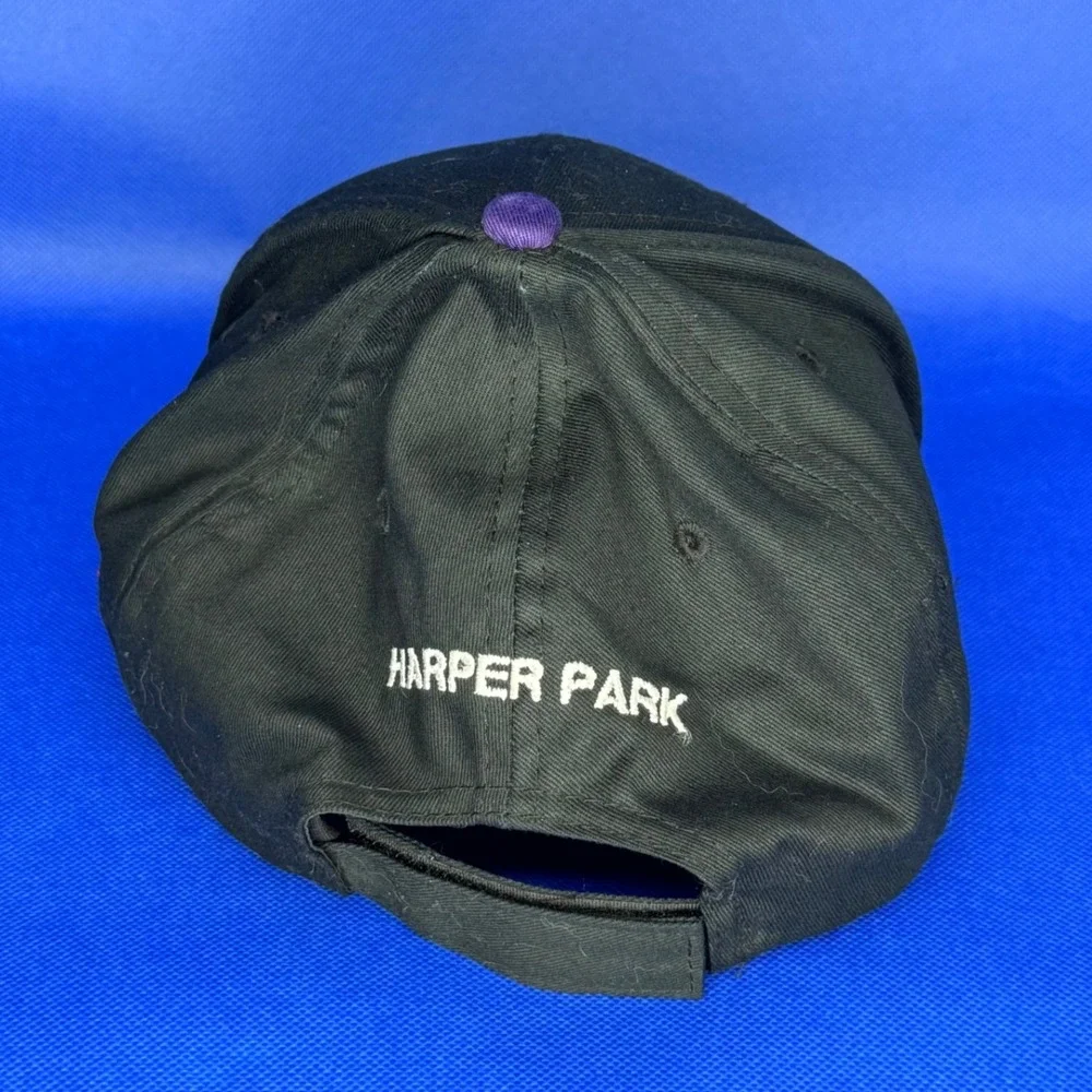Colorado Rockies NEW Hat Embroidered Adjustable Baseball Cap MLB Denver Gorpcore